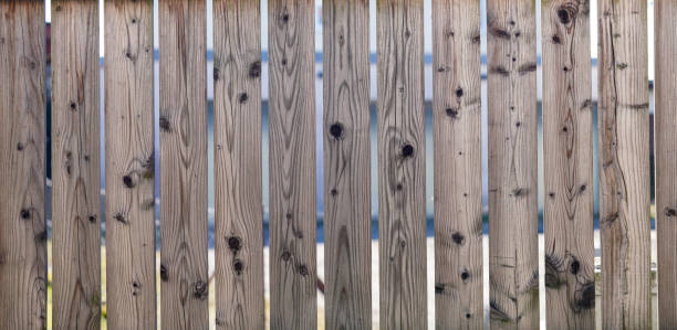 istock Natural wood with a fine structure, photographed outdoors in daylight 1342233638