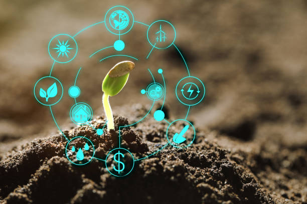 istock Modern technology in agriculture. Green seedling and icons 1342233759