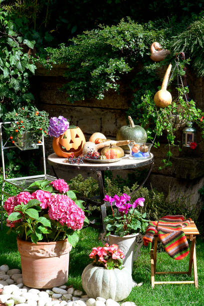 istock modern home breakfast table in the garden 1342239616