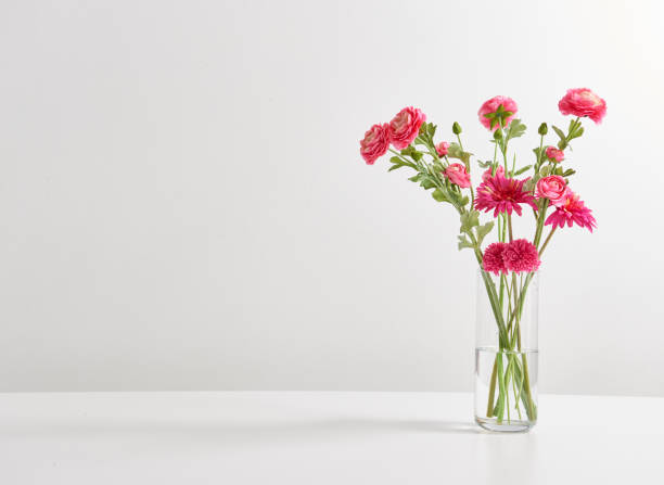 istock white background and flower vase book wood table 1342239704