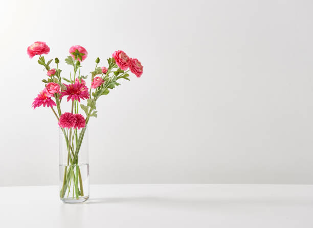 istock white background and flower vase book wood table 1342239735