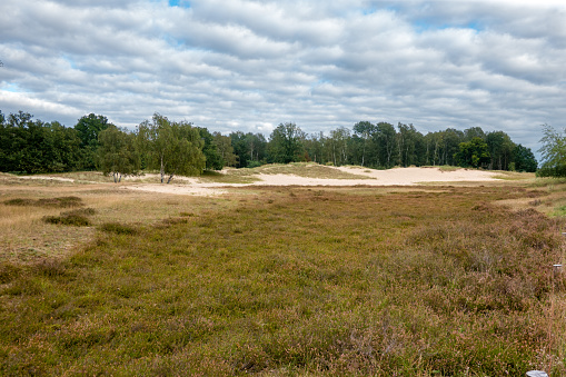 Boberger Niederung, Nature Reserve area consisting of forest with transition to dune landscape in Hamburg, Germany