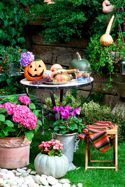istock modern home breakfast table in the garden 1342239915