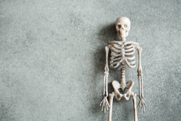 Little toy skeleton over grey background, minimalistic Halloween concept