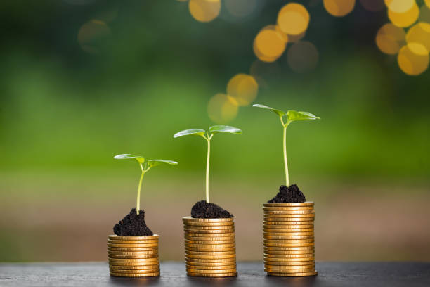 istock sprouts and piles of coins 1342240919