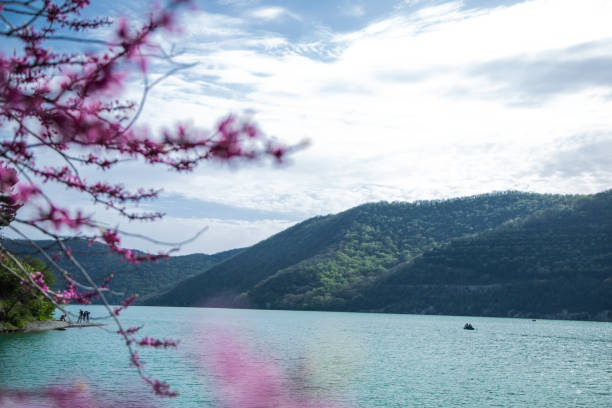 tree branch with red and pink flowers on the background of a lake In the foreground is a tree branch with red and pink flowers on the background of a lake in the mountains. High quality photo krasnodar krai stock pictures, royalty-free photos & images