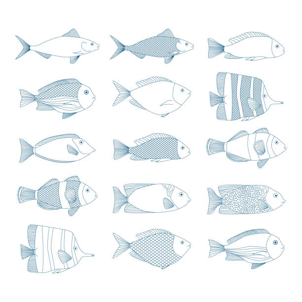 набор векторных контурных иллюстраций рыб. сине-морские иконки. - natural pool fish sea water stock illustrations