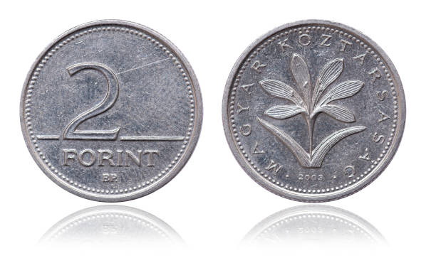 istock Coin 2 forints. epublic of Hungary. 2003 1342244109