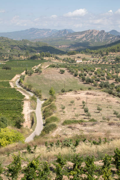 istock Countryside outside Horta de Sant Joan; Tarragona 1342248705