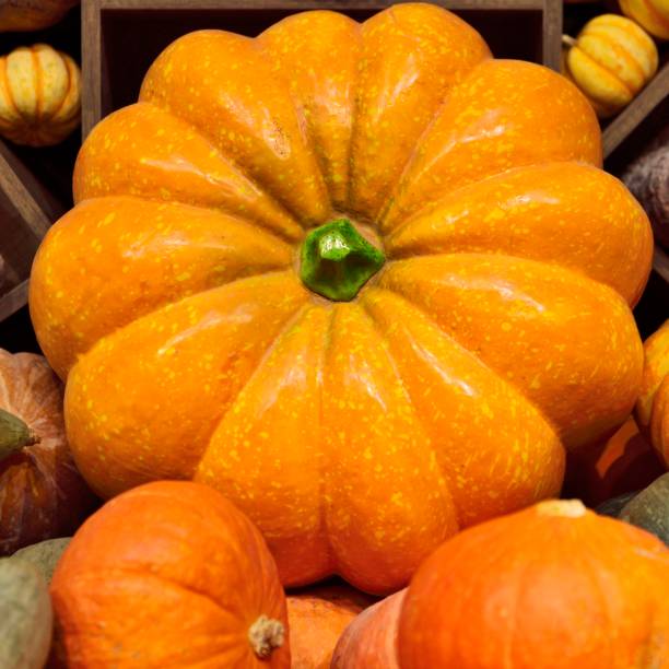 istock Autumn fruits and vegetables- 1342249006