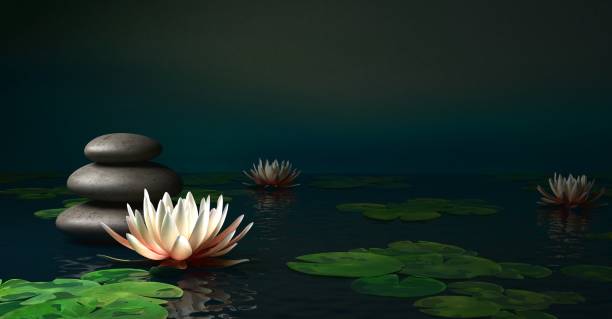 istock Beautiful Thai Lotus that has been appreciated with the dark blue water surface, 3d Rendering 1342249886