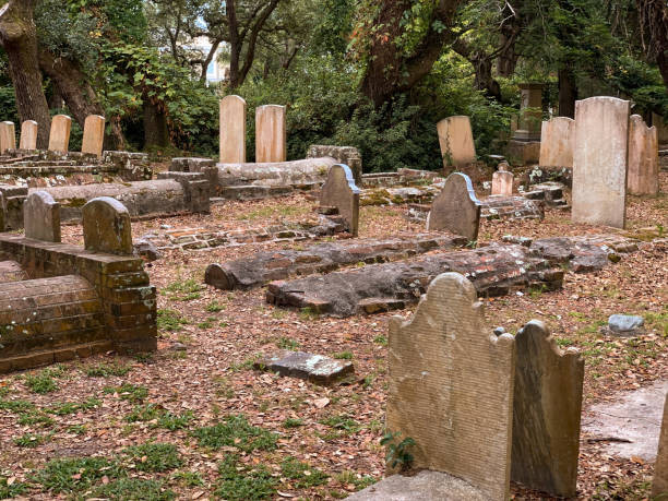 istock Spooky, creepy old graveyard with live oak trees 1342250628
