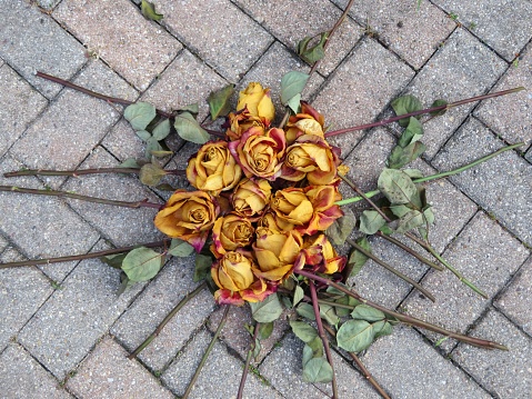 Overhead view of dried long stemmed roses against brick paver background.