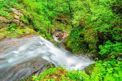 Long exposure of powerful Piljski waterfall cascading down and green moss in the forest on Old Mountain, Serbia