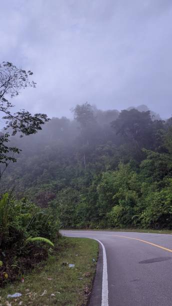 istock smoke mountain at morning road trip 1342265399