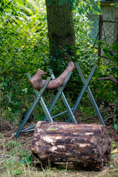 istock Wood log on saw horse 1342267458