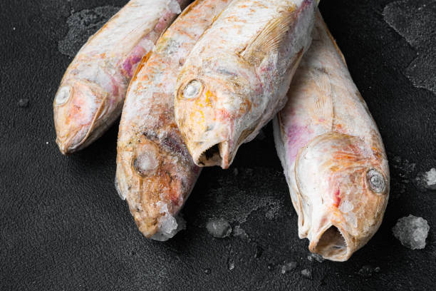istock Frozen Goatfish raw fish, on black dark stone table background 1342269272