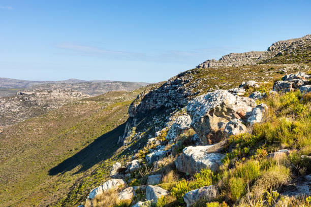 Rugged mountain landscape with fynbos scrub bush flora in Cape Town South Africa