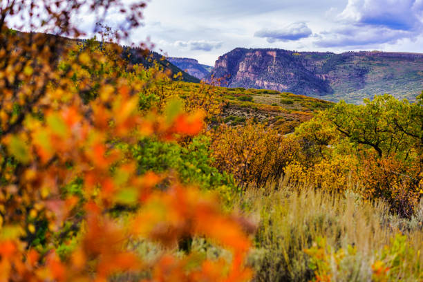istock Rugged Canyon Landscape with Autumn Colors 1342271696