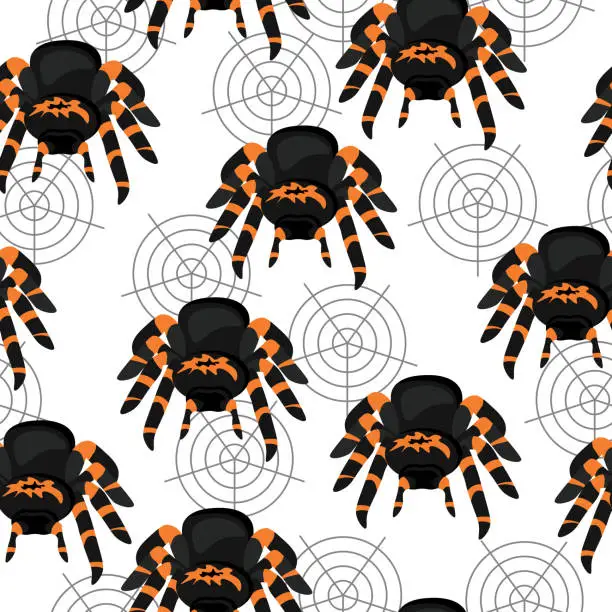 Vector illustration of tarantula spider seamless pattern, bright animal with eight legs and cobweb on a white background