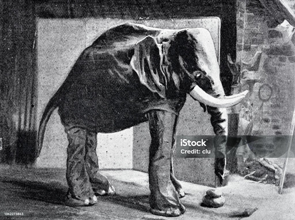 Topeng Pantomim Pantomim Topeng Dan Properti Gajah Lengkap Ilustrasi Stok - Unduh ...