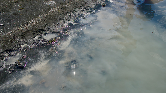 Salda lake is in NASA's area of interest.