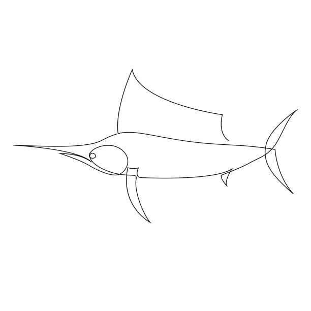 ilustrações de stock, clip art, desenhos animados e ícones de one line marlin design silhouette. hand drawn swordfish or sailfish minimalism style vector illustration - marlin sailfish nature saltwater fish