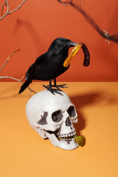 istock Funny Halloween scenery. Skull and black crow with jelly worm, decorative cobweb and spiders 1342282075