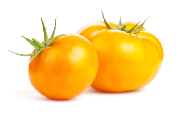 istock Yellow Tomatoes Isolated Over White Background 1342288440