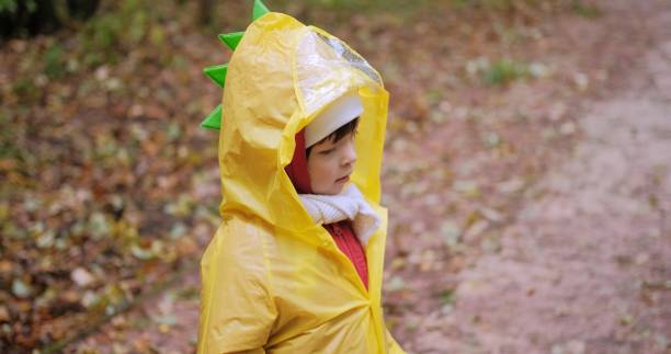 istock A kid in a dinosaur crest cape walks in a wet, fall park. Close up shot 1342289570