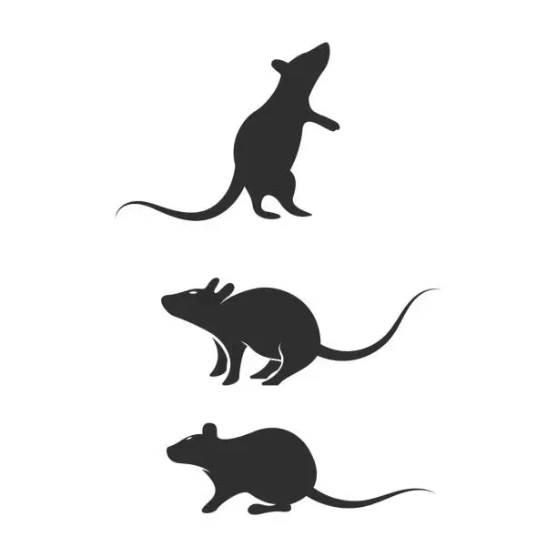 Vector illustration of Rat cute Vector icon design illustration