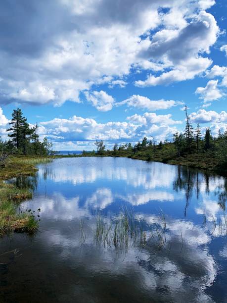 istock Finnish Lapland, Riisitunturi 1342290870