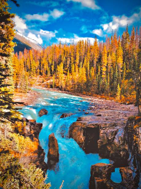 Sunwapta Falls, Jasper, Canada