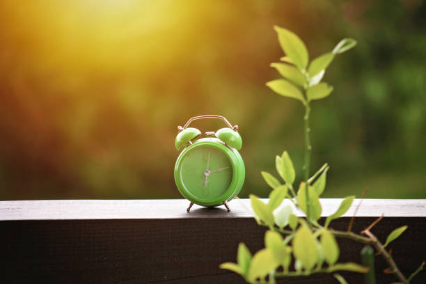 istock Happy morning and healthy lifestyle 1342292564