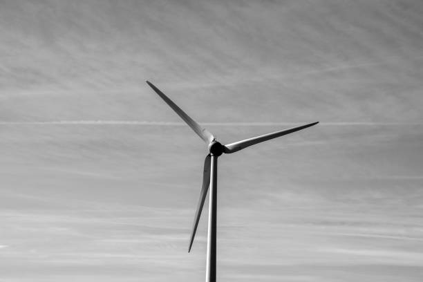 istock Windmill With Sun Flare At Marken The Netherlands 1342293050