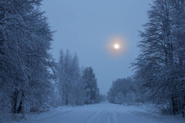 istock winter night   snowy   landscape  with trees 1342293091