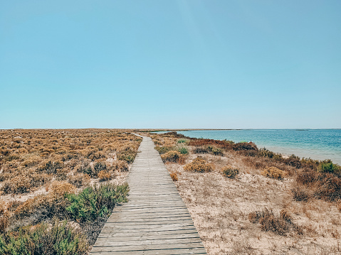 Sendero de madera para una caminata en una isla desierta en el Algarve- Ilha Deserta photo