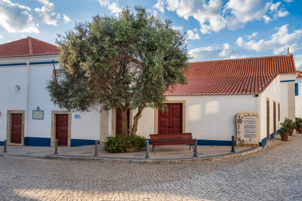 istock Ericeira in United Kingdom 1342295849