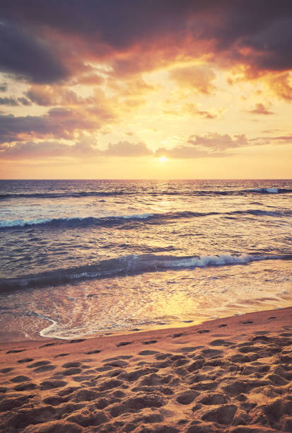 istock Tropical sandy beach with footprints in the sand at sunset. 1342299016