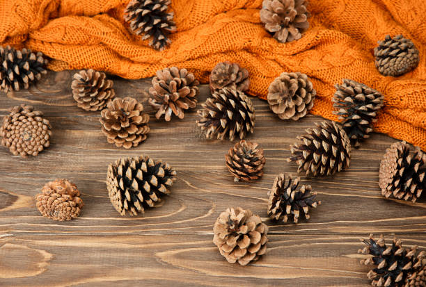 istock Autumn background. Orange plaid with pine cones on a wooden background. 1342300013