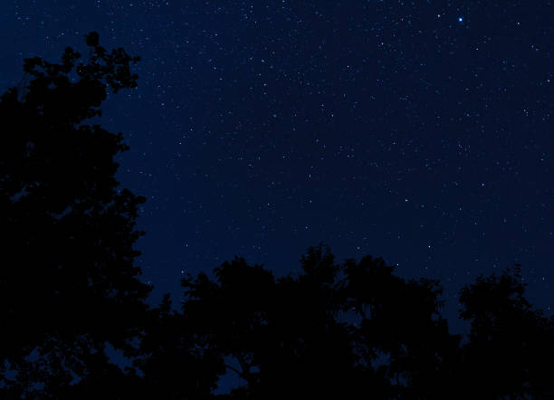 istock Stars during a dark night in North Carolina 1342301530