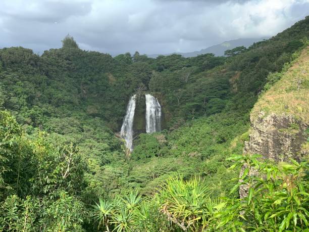 istock WATERFALL IN KAUAI HAWAII 1342302057