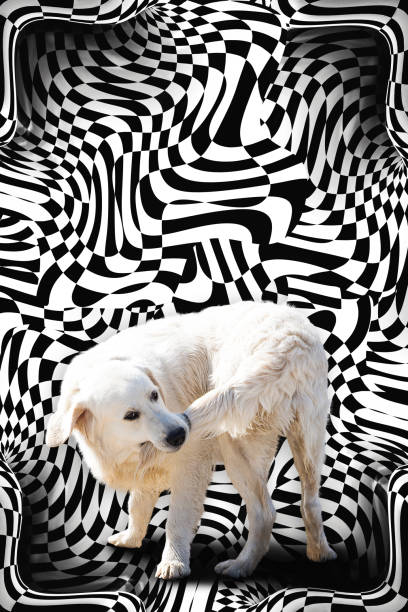 cane che si morde la coda contro lo sfondo frattale - cane morde coda foto e immagini stock