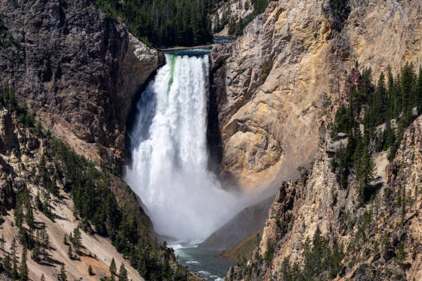 artists point showing the lower falls of the grand canyon of the yellowstone in the national park - lower falls imagens e fotografias de stock