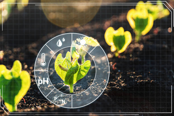 istock Smart farming 4.0, futuristic agriculture with modern technology 1342310673
