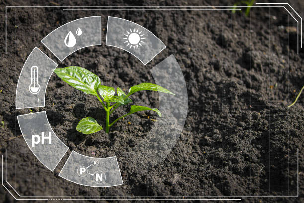 istock Smart farming 4.0, futuristic agriculture with modern technology 1342310681