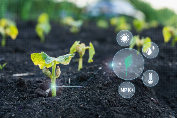 istock Smart farming 4.0, futuristic agriculture with modern technology 1342310695