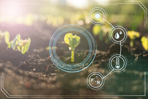 istock Smart farming 4.0, futuristic agriculture with modern technology 1342310770