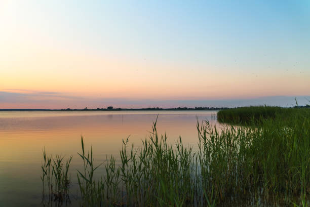 istock Beautiful sunset on the beach Paralepa in Haapsalu. 1342311428