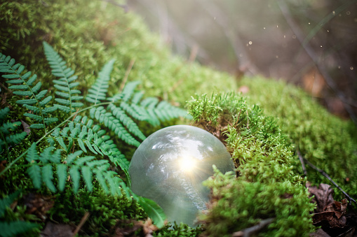 Mystical and magical magical, fantastic glowing crystal ball for rituals in the forest on the moss with a fern